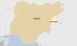 d3f99380 42a2 11f1 b55d 0f258dce1735.jpg