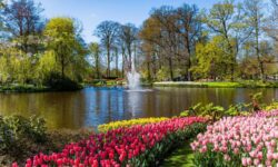 medium fontaine keukenhof.1577433 b951374c79