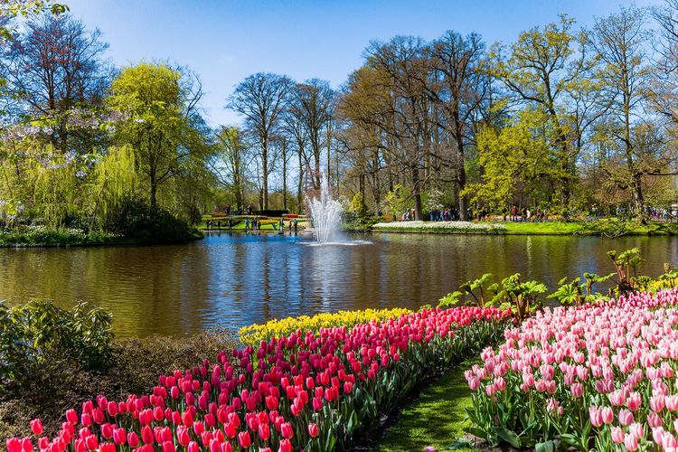 medium fontaine keukenhof.1577433 b951374c79