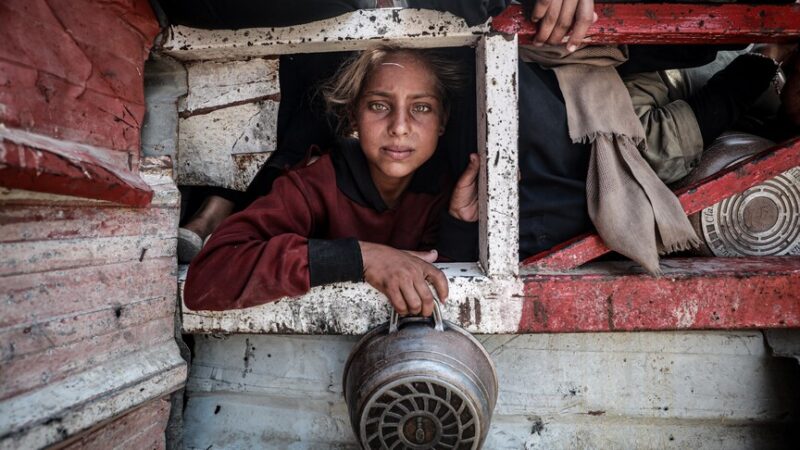 thumbs b c 000bbe6e7d59b65c2e3ec0645be94f19 e1775476733930