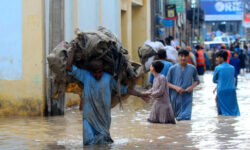 thumbs b c 1248c8c39f03cb7dfd6413c3bc12a598