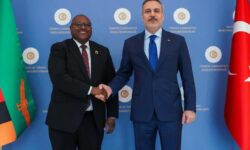 thumbs b c 395c779694721c6db96cf1933742f57a