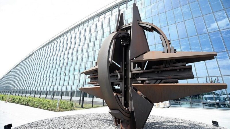 thumbs b c 824a4845a9058f08f7e714390111749d e1775736235798