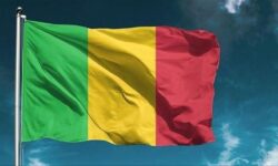 thumbs b c 84c873583fdacc578434c3ee61651178