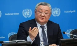 thumbs b c 8d5863ed7f9e8b4430f215f28e8dead1 768x432 1