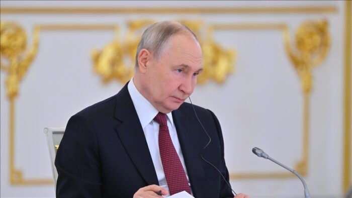 thumbs b c b5f968602bde7693d88c5eec700fc6c8 e1775045273882