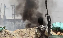 thumbs b c b8ede05b3973d345ee0d4e11c48dd833 768x433 1