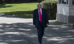 thumbs b c c467352be0623a9ecddc1b90bb64fb89 768x432 1