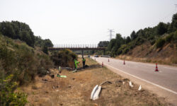 thumbs b c d3a02f4d20990dea3c5da8da702d9895