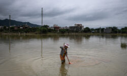 thumbs b c e3907988750a1f50295f53f2863977be