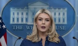 thumbs b c e983928b2bc6eef6fb454c8ec84c877f