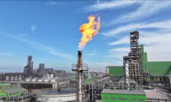 thumbs b c ef01979fd2b74ad430c9159567c8df57