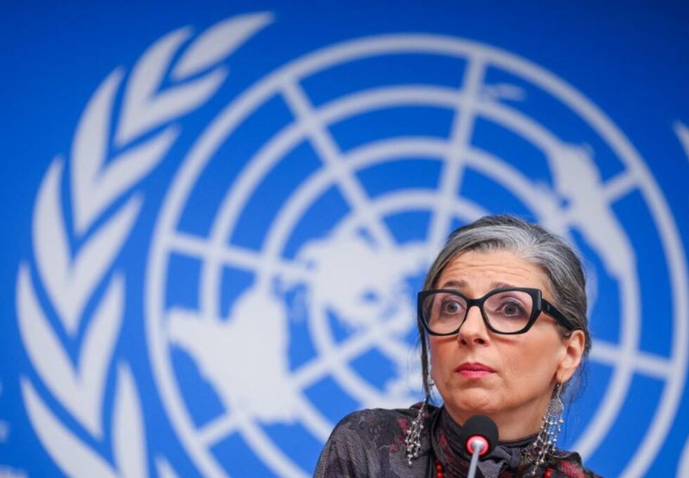 2026 05 20t213006z 1 lynxmpem4j1w5 rtroptp 3 israel palestinians un expert