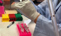 hantavirus what to know 13 14