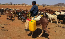 2026 02 09t183657z 1083018424 rc2cijajev3u rtrmadp 3 sudan politics kordofan nomads main