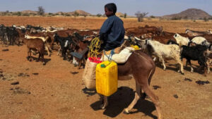 2026 02 09t183657z 1083018424 rc2cijajev3u rtrmadp 3 sudan politics kordofan nomads main