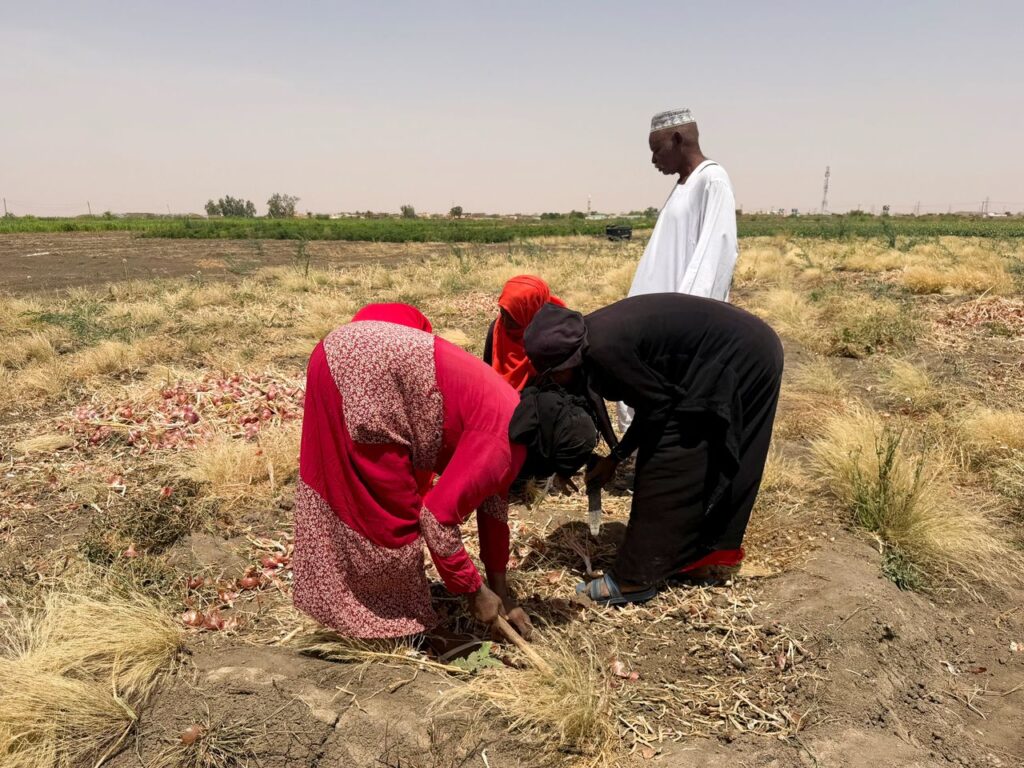 2026 05 25t130423z 284721055 rc20dlab9hb2 rtrmadp 3 sudan politics food security