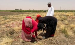 2026 05 25t130423z 284721055 rc20dlab9hb2 rtrmadp 3 sudan politics food security