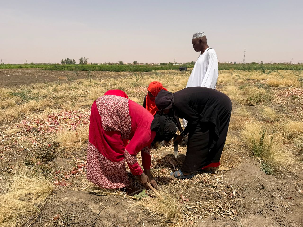 2026 05 25t130423z 284721055 rc20dlab9hb2 rtrmadp 3 sudan politics food security