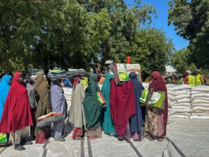 2025 11 25t050547z 1 lynxmpelao052 rtroptp 3 nigeria hunger