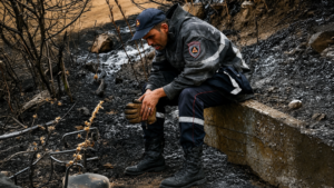 25d43698 3fe8 45dd b514 aae4acfe0c28 1784621004922