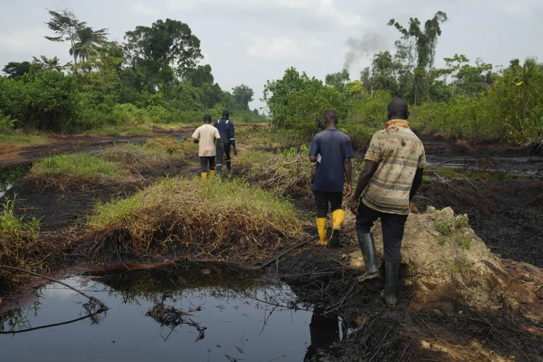 d9a34546 afb3 47ed 8d5c aa38ab1eeb19 1788464343160